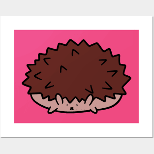 Porcupine Blob Posters and Art